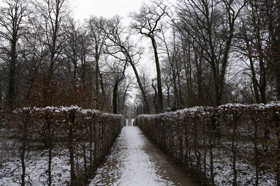 Schlosspark Rheinsberg